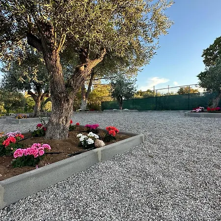 La Maison Des Oliviers * Kiáton