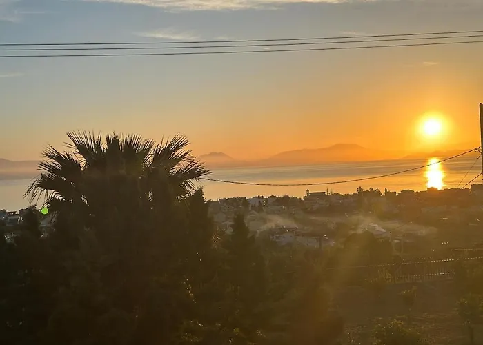 La Maison Des Oliviers